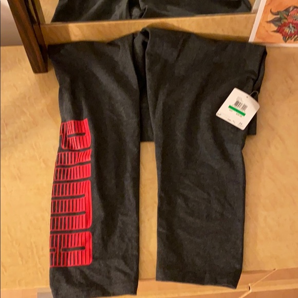 Puma capri - Picture 2 of 5